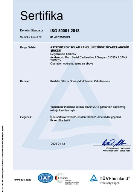 ISO 9001