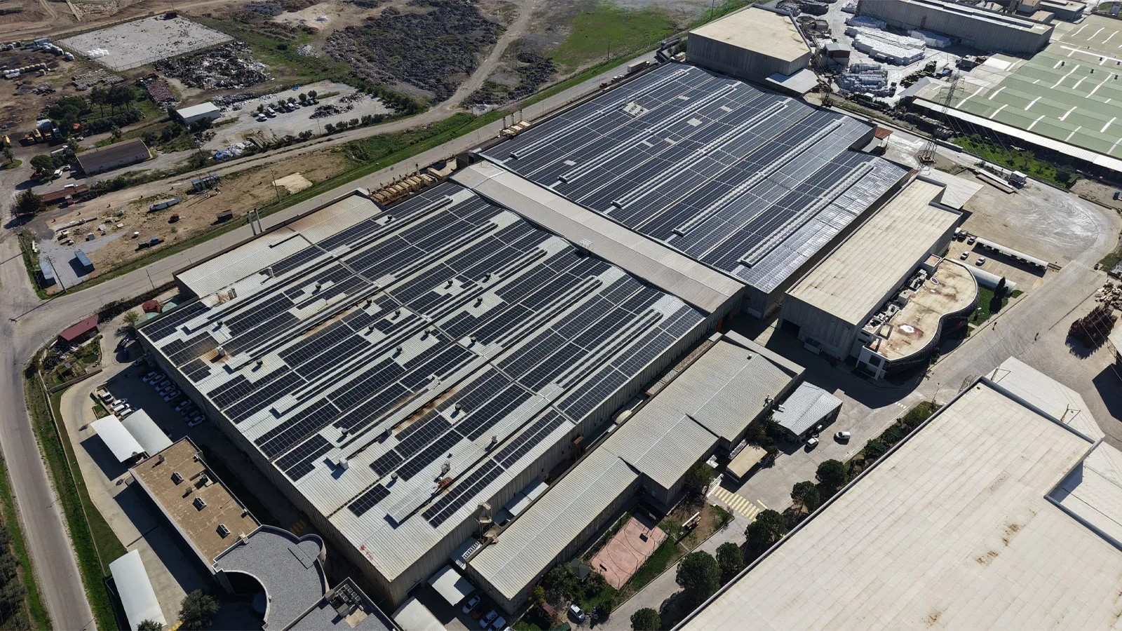 Oryantal Tütün Paketleme